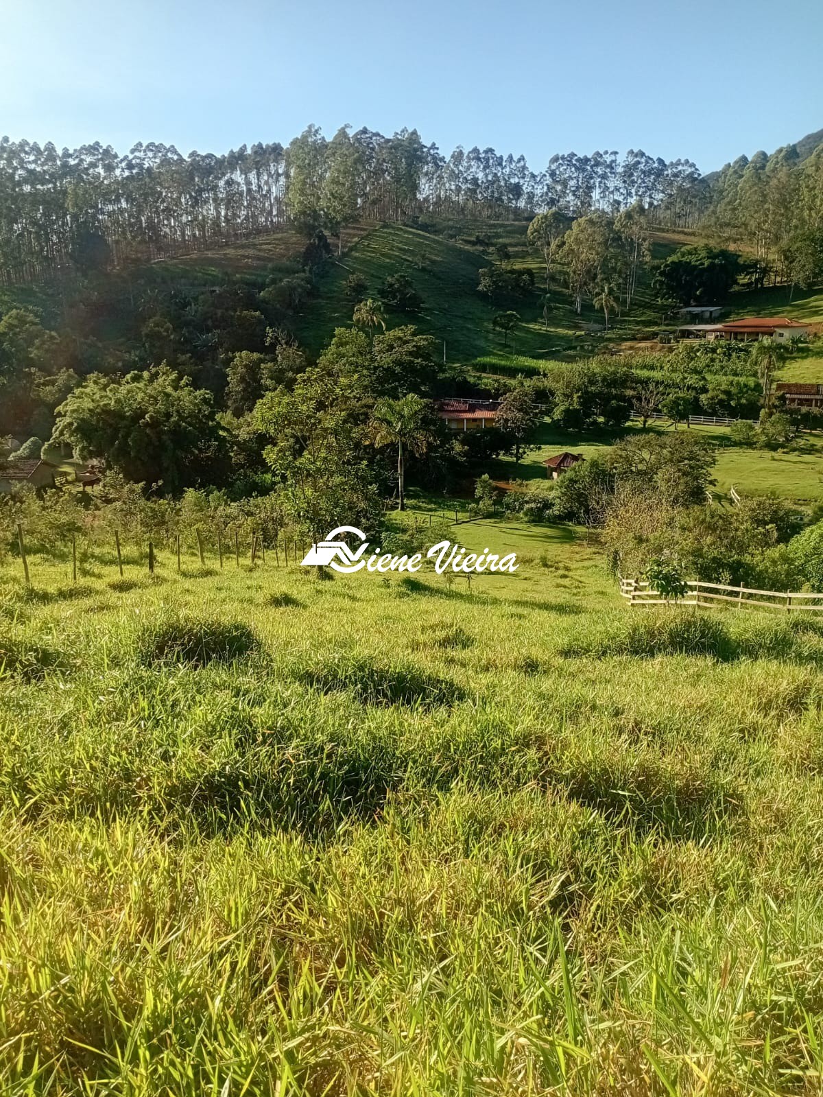 Chácara, 2 quartos, 2 hectares - Foto 32