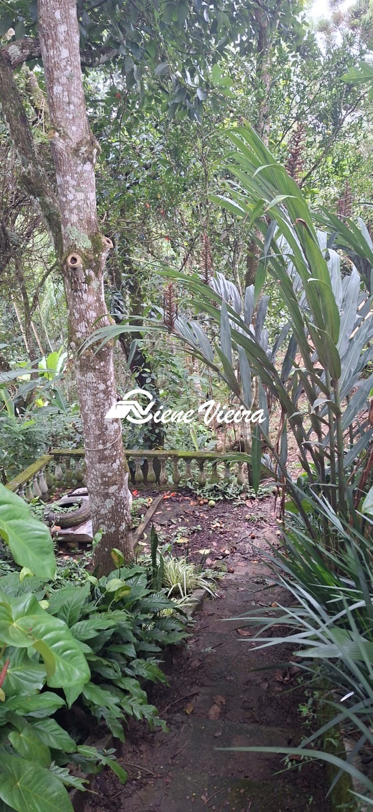 Chácara, 4 quartos, 480 m² - Foto 14