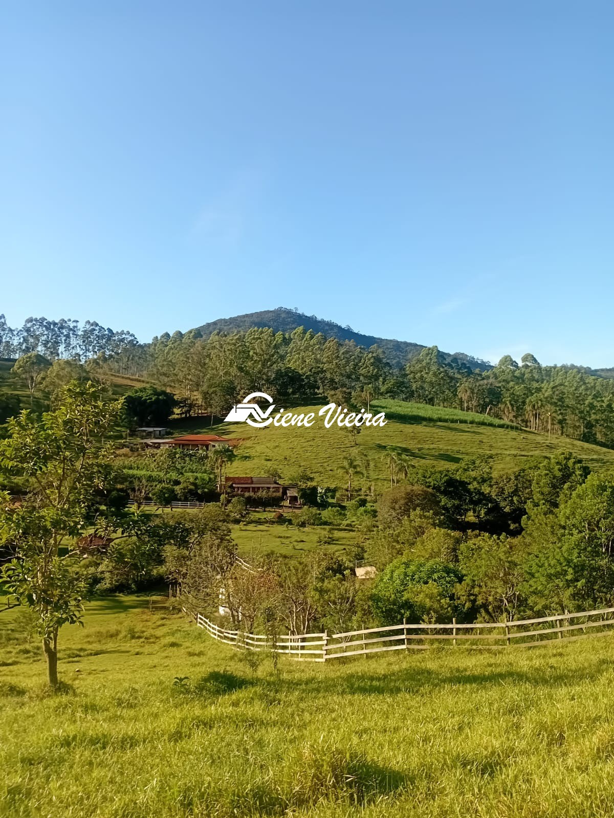 Chácara, 2 quartos, 2 hectares - Foto 28