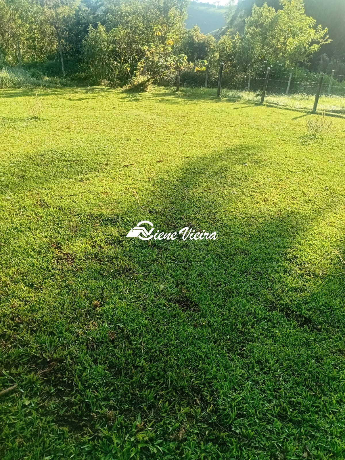 Chácara, 2 quartos, 2 hectares - Foto 43
