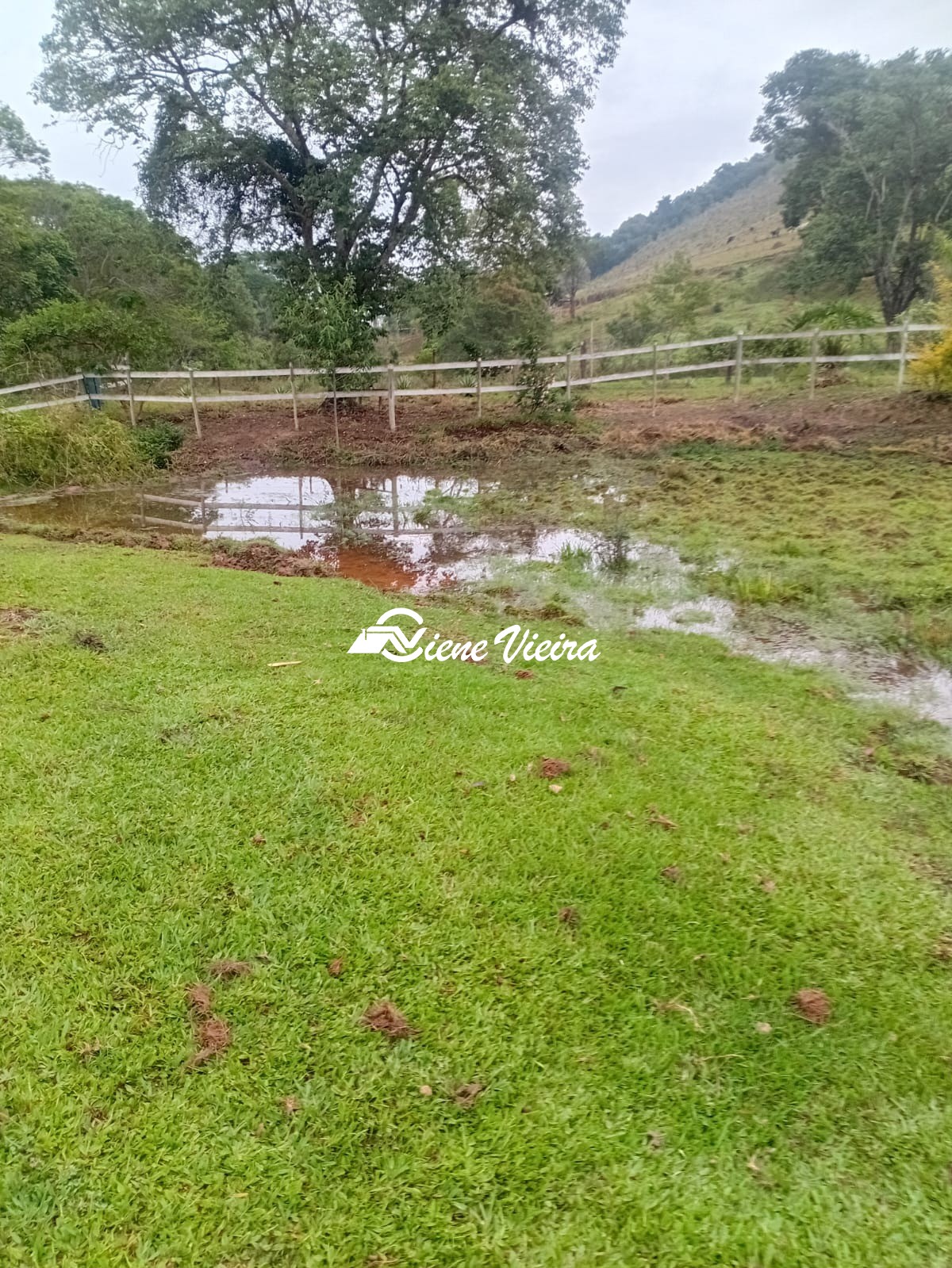 Chácara, 2 quartos, 2 hectares - Foto 20