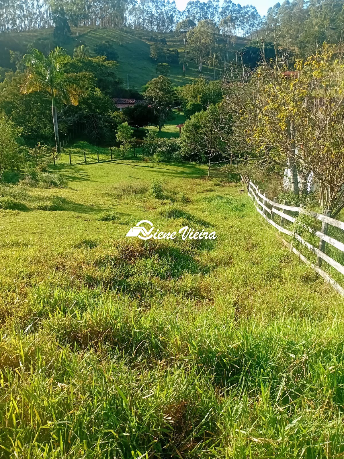 Chácara, 2 quartos, 2 hectares - Foto 35