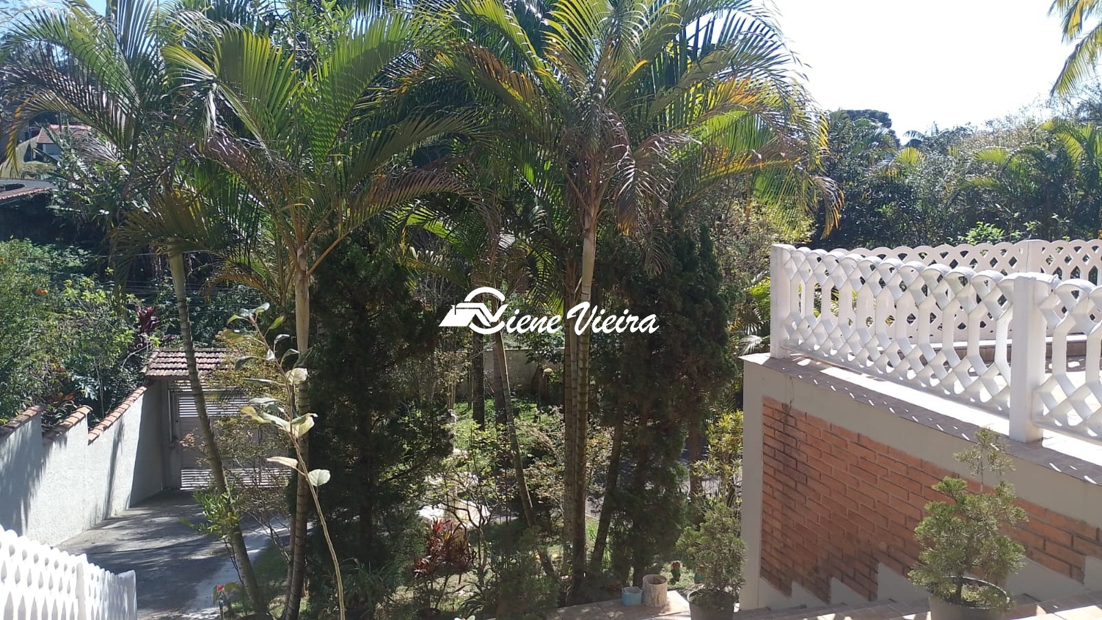 Casa, 4 quartos, 907 m² - Foto 6