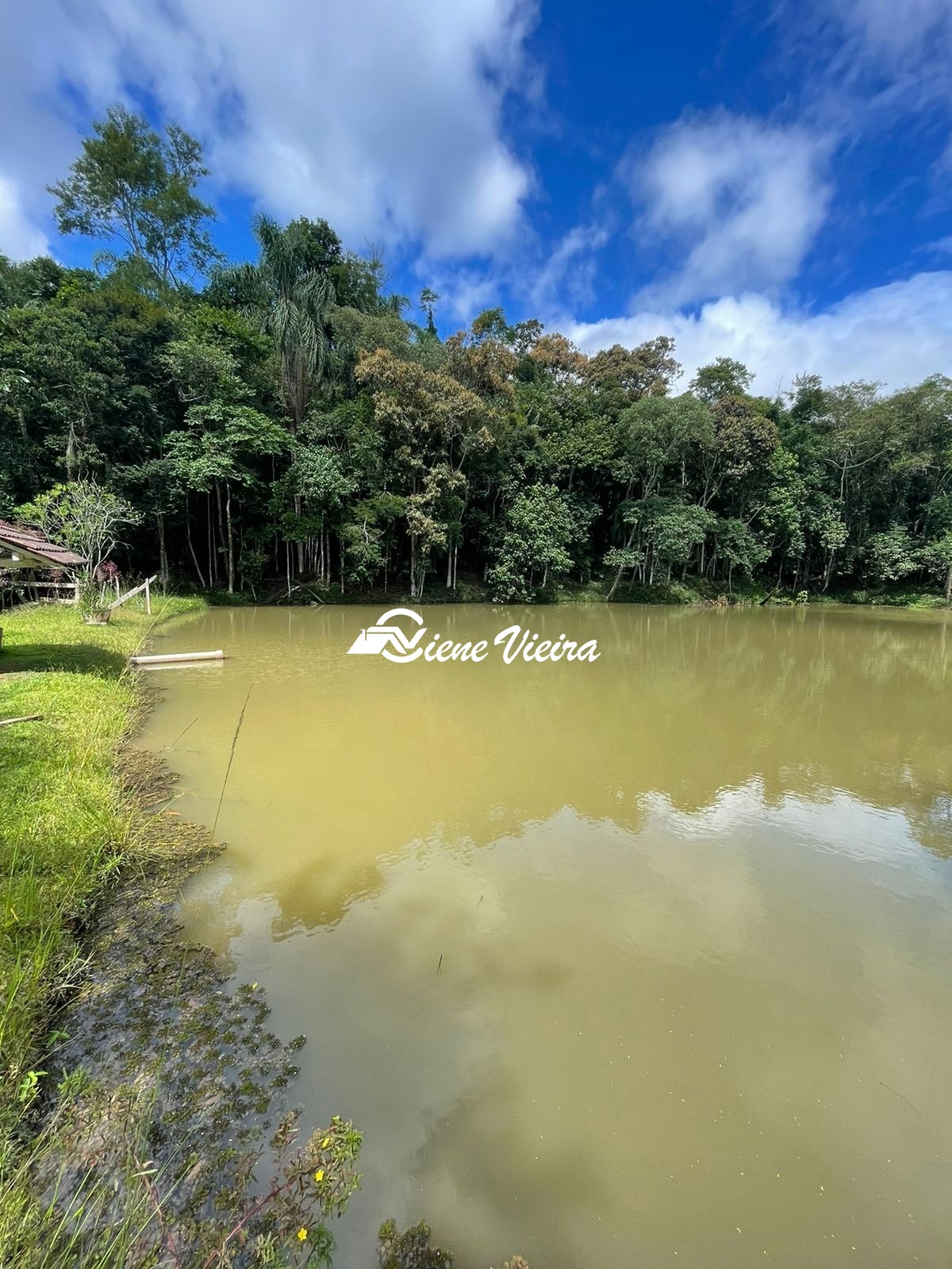 Chácara, 2 quartos, 4 hectares - Foto 7