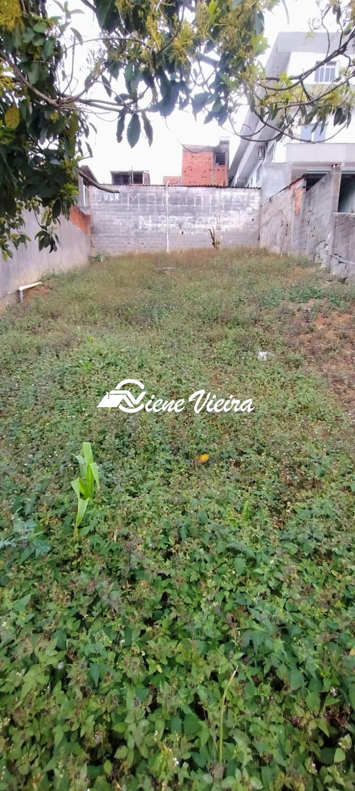 Terreno, 250 m² - Foto 9