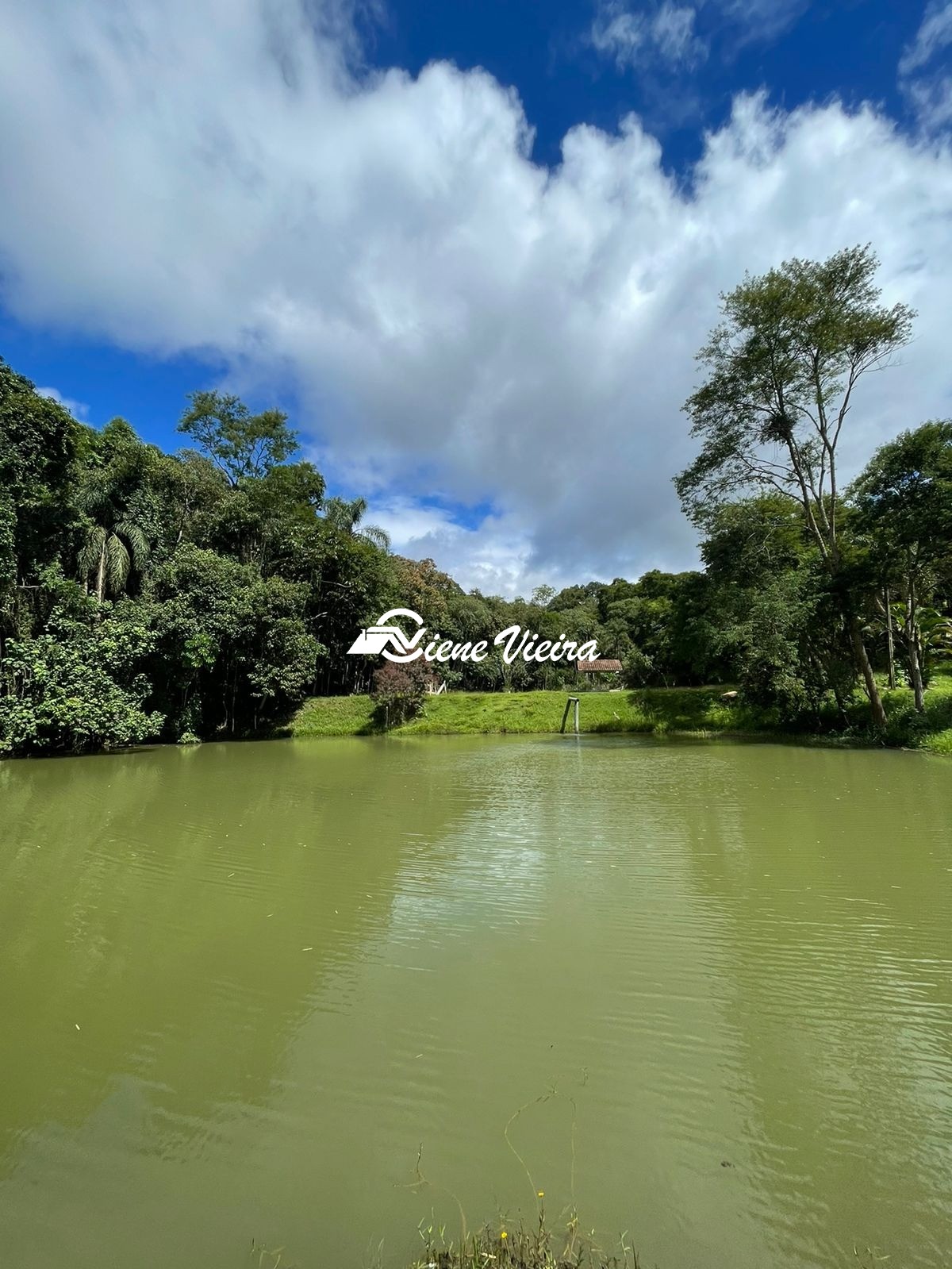 Chácara, 2 quartos, 4 hectares - Foto 10