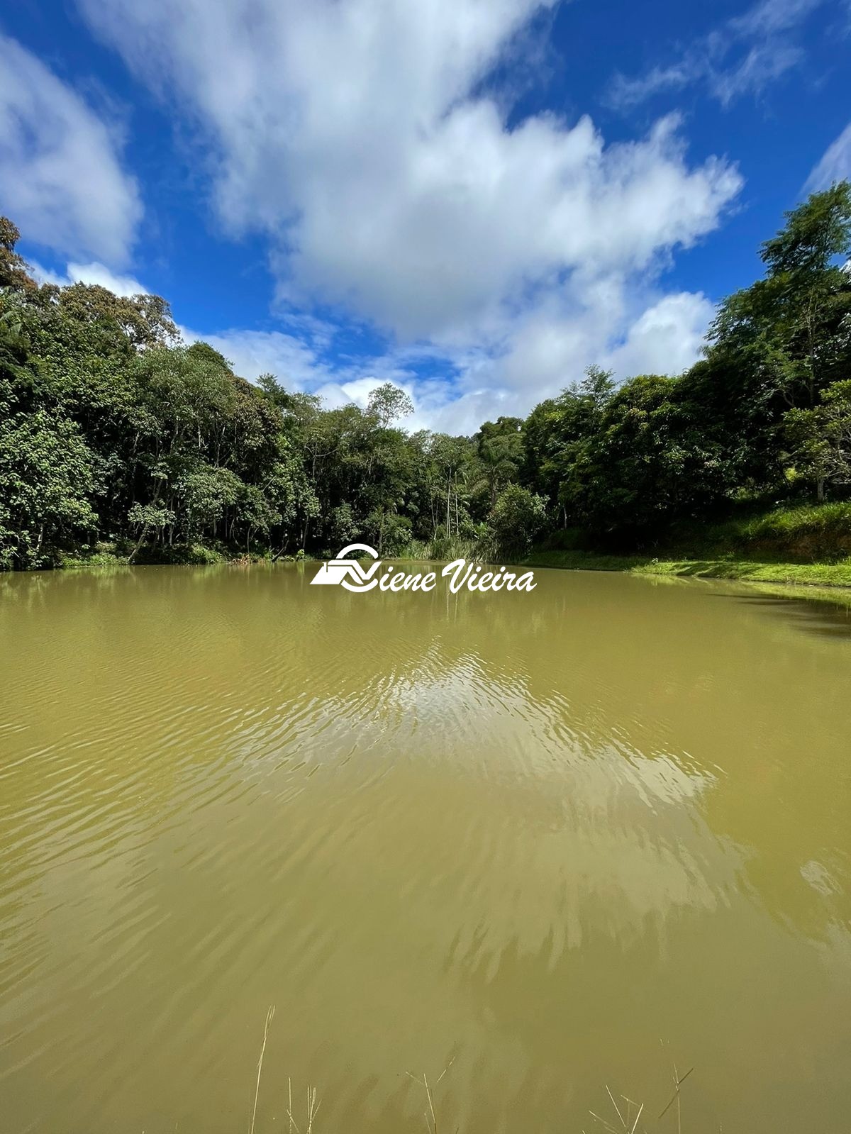 Chácara, 2 quartos, 4 hectares - Foto 8
