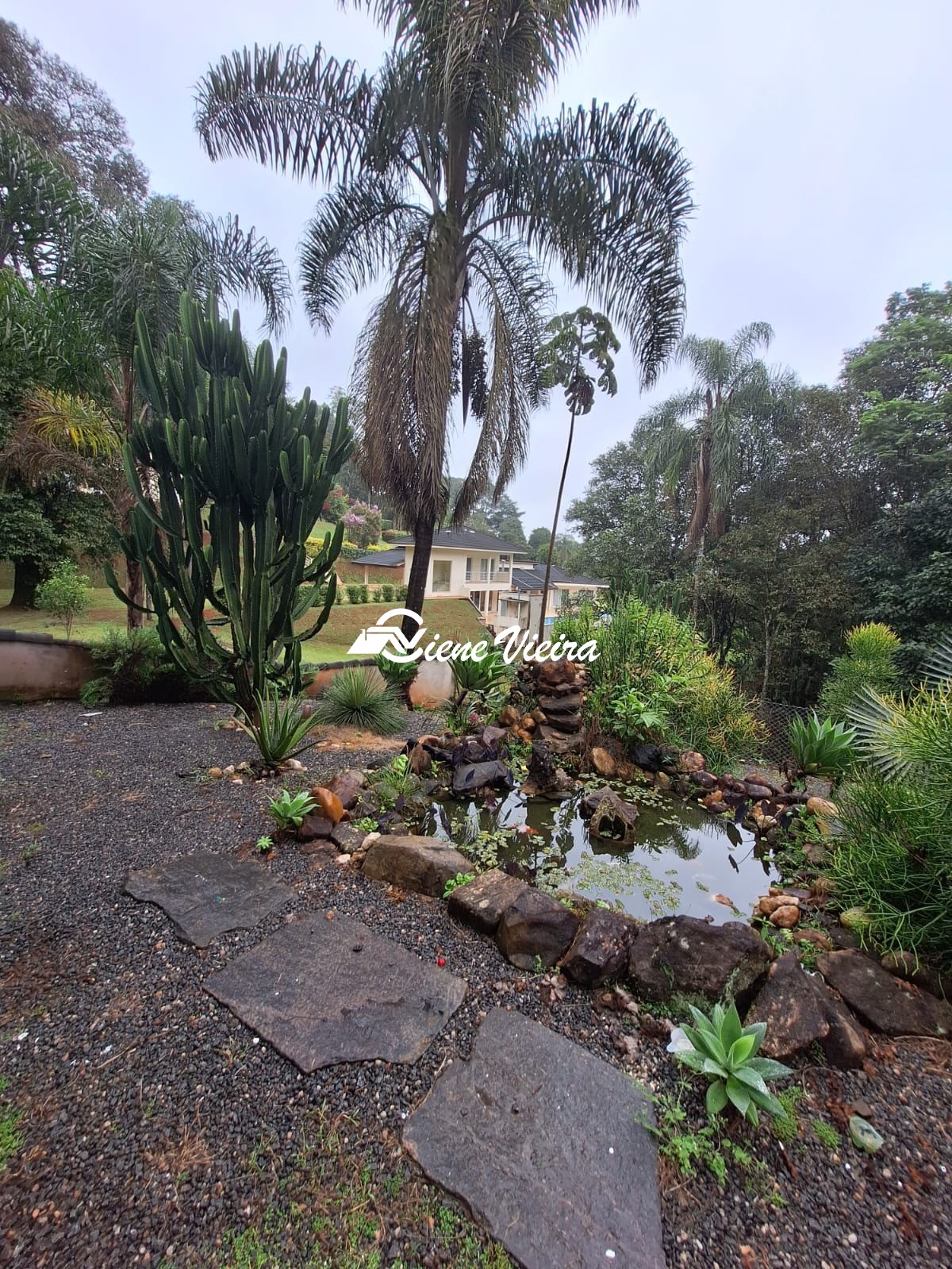 Chácara, 3 quartos, 3800 m² - Foto 9