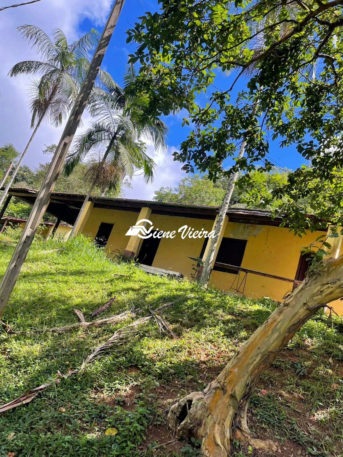 Chácara, 2 quartos, 4 hectares - Foto 4