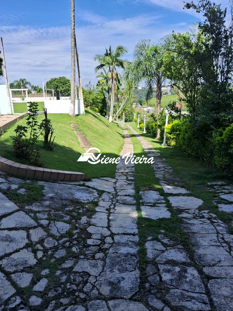 Chácara, 4 quartos, 8000 m² - Foto 18