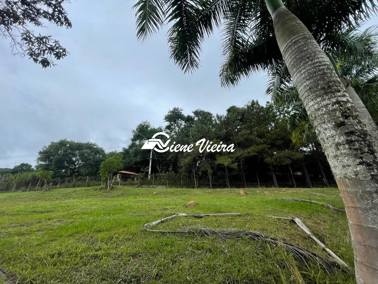Terreno, 1000 m² - Foto 3