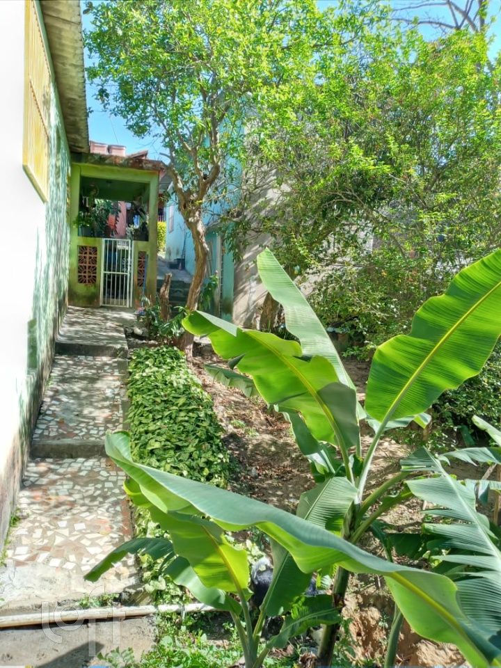 Casa, 3 quartos, 500 m² - Foto 6