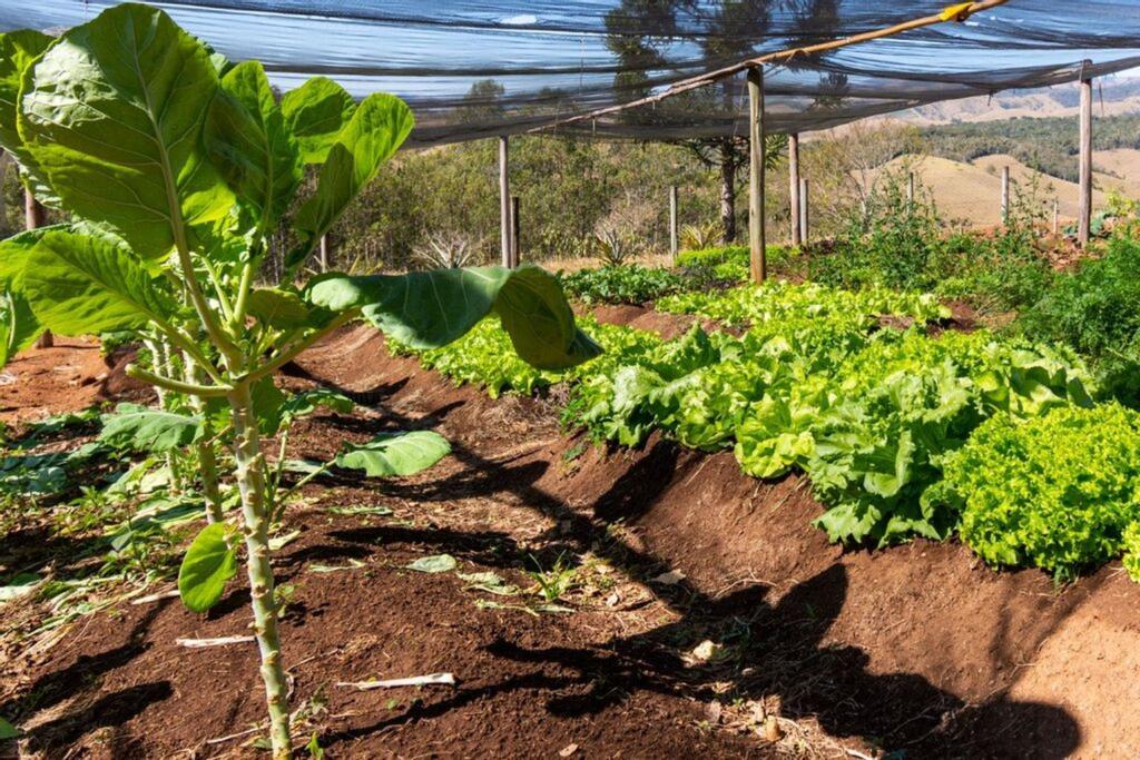 Sítio à venda com 7 quartos - Foto 47
