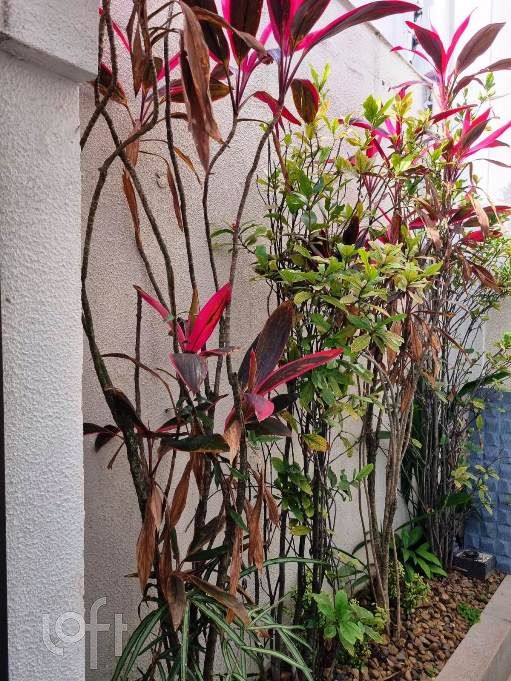 Casa, 3 quartos, 253 m² - Foto 20