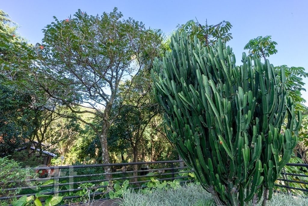 Apartamento, 4 quartos, 190 m² - Foto 72