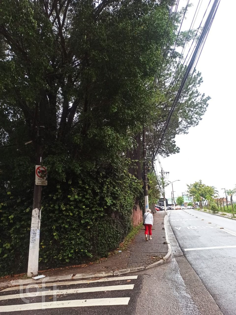 Casa, 600 m² - Foto 8