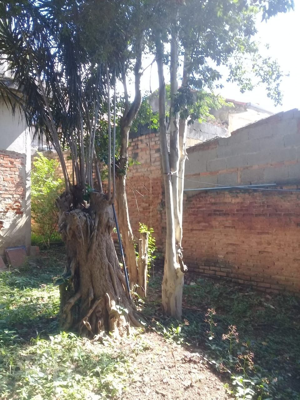 Casa, 1 quarto, 288 m² - Foto 14