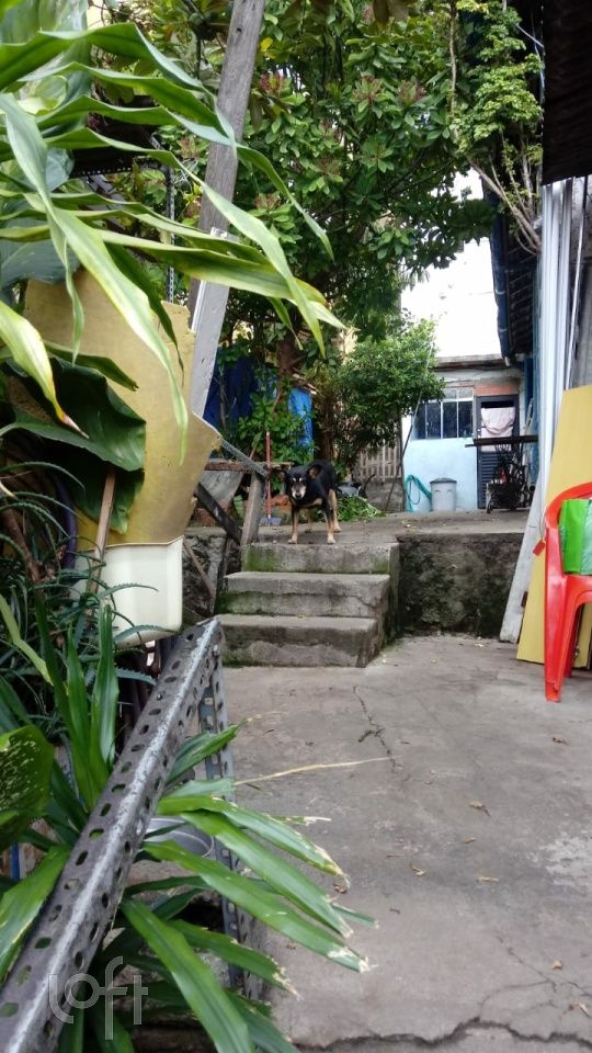 Casa, 5 quartos, 300 m² - Foto 3