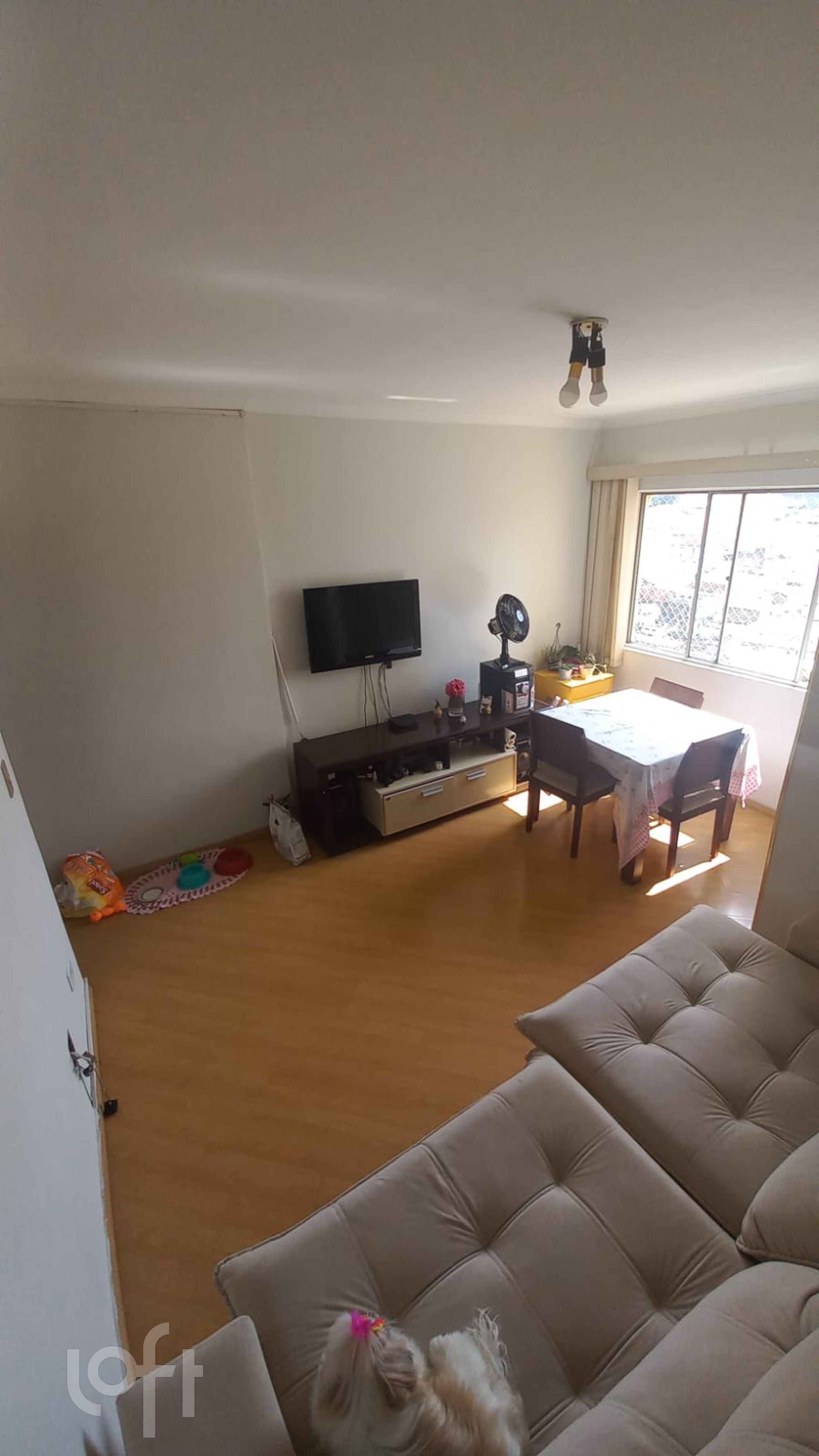 Apartamento à venda com 2 quartos, 50m² - Foto 1