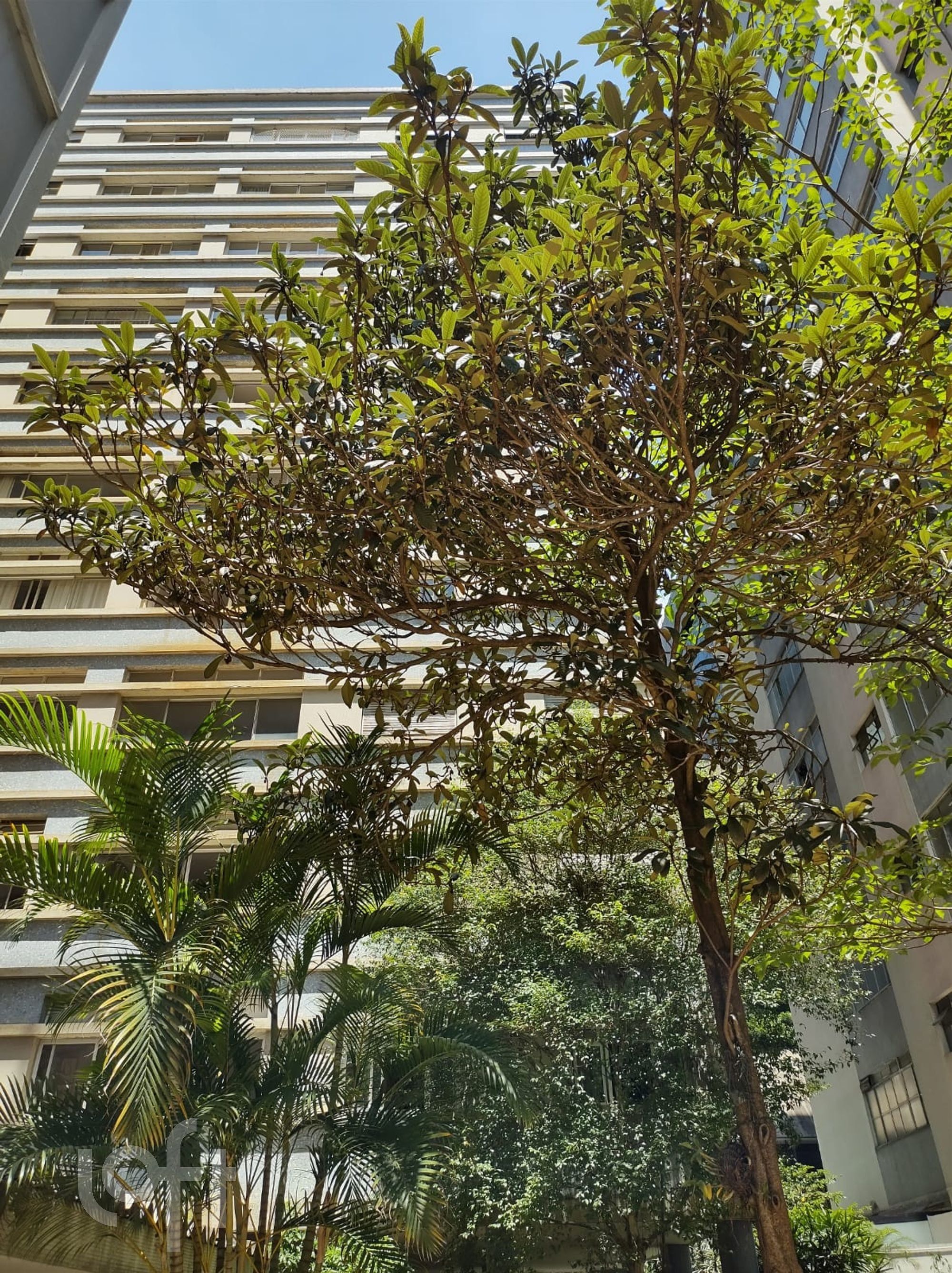 Apartamento, 4 quartos, 150 m² - Foto 5