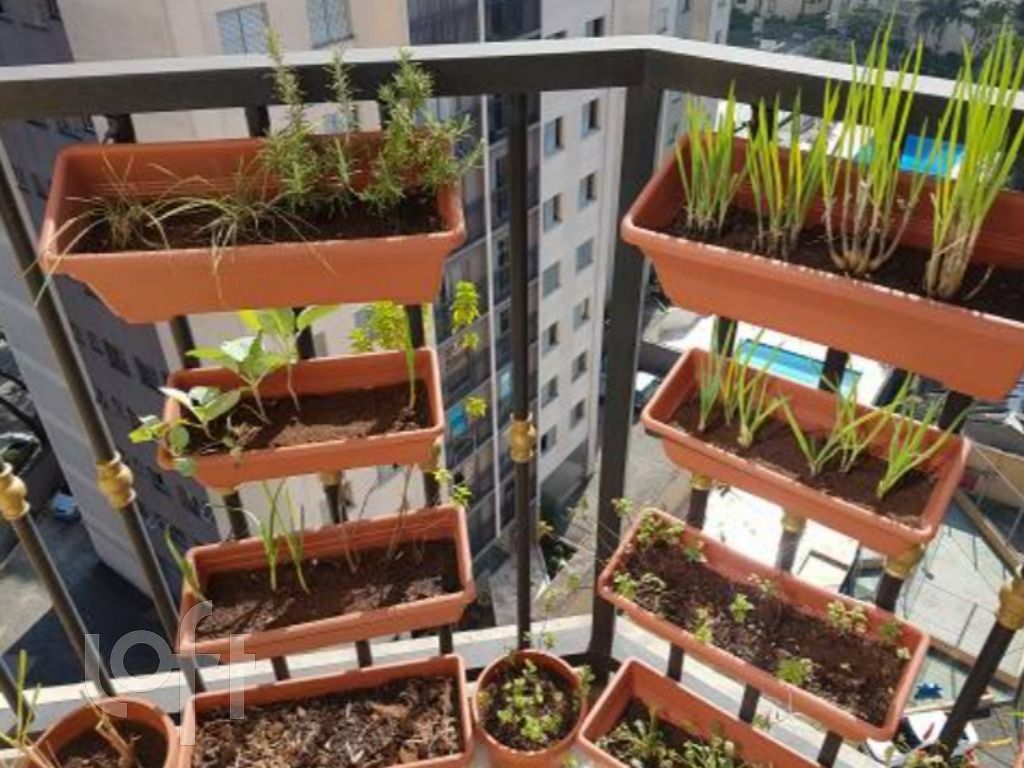 Apartamento, 3 quartos, 76 m² - Foto 18