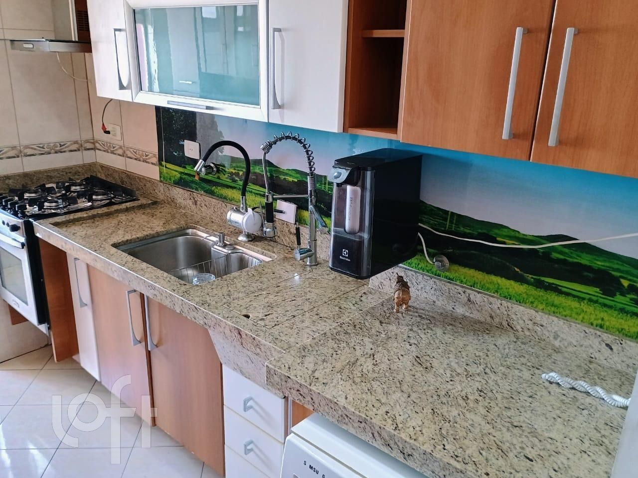Apartamento à venda com 3 quartos, 65m² - Foto 23