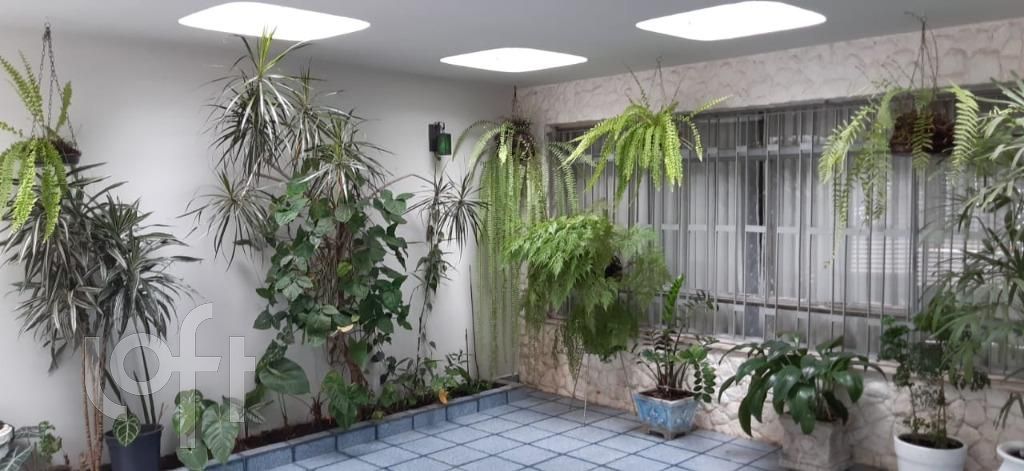 Casa, 3 quartos, 300 m² - Foto 3