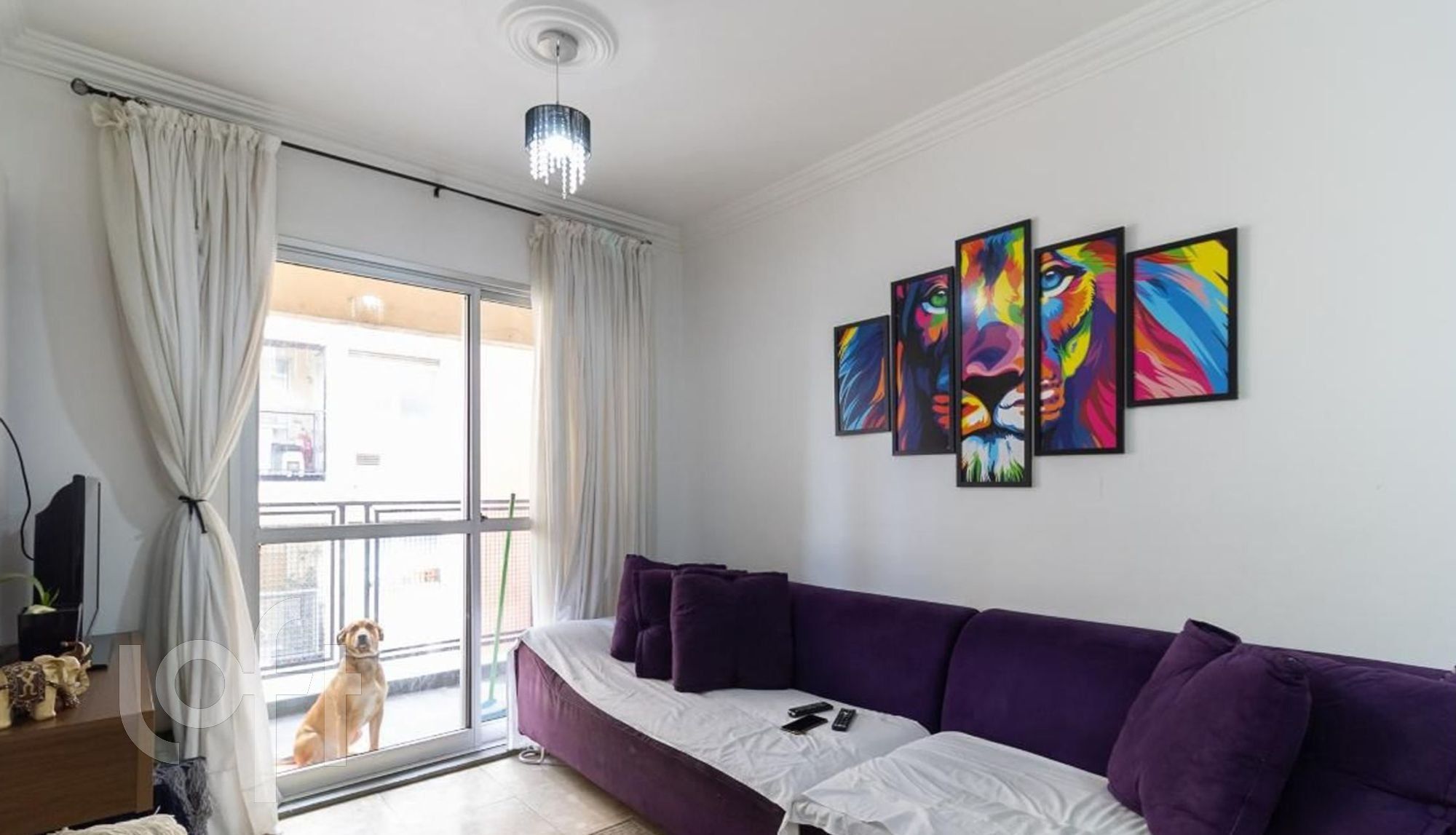 Apartamento, 3 quartos, 75 m² - Foto 26