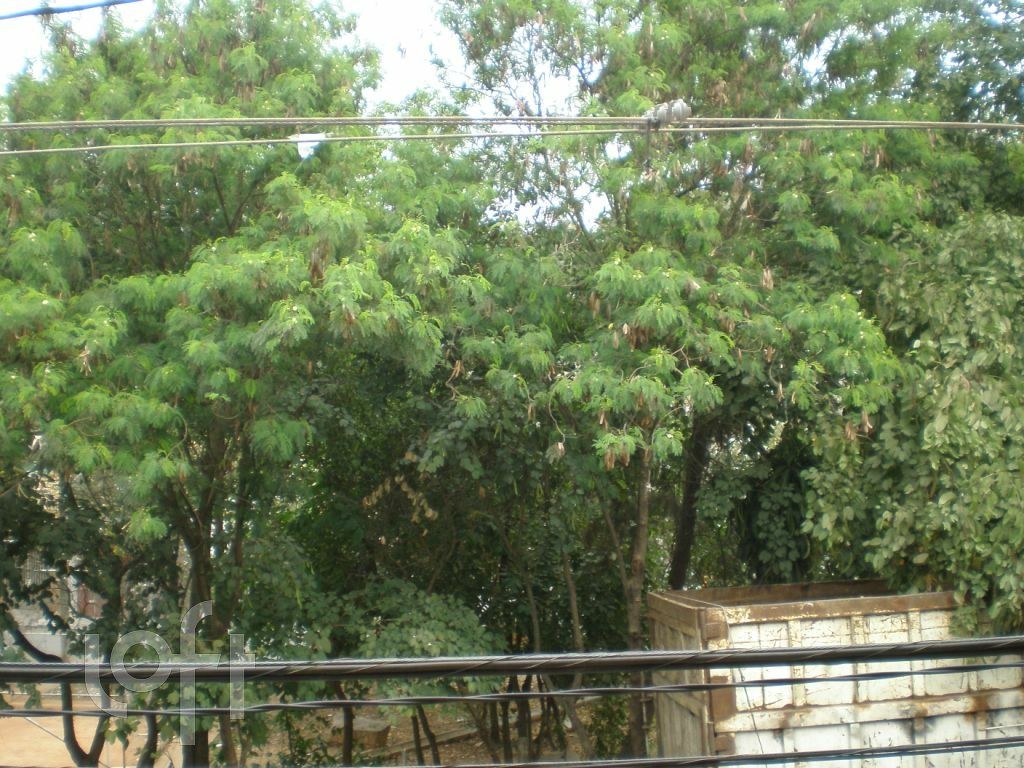 Casa, 5 quartos, 540 m² - Foto 5