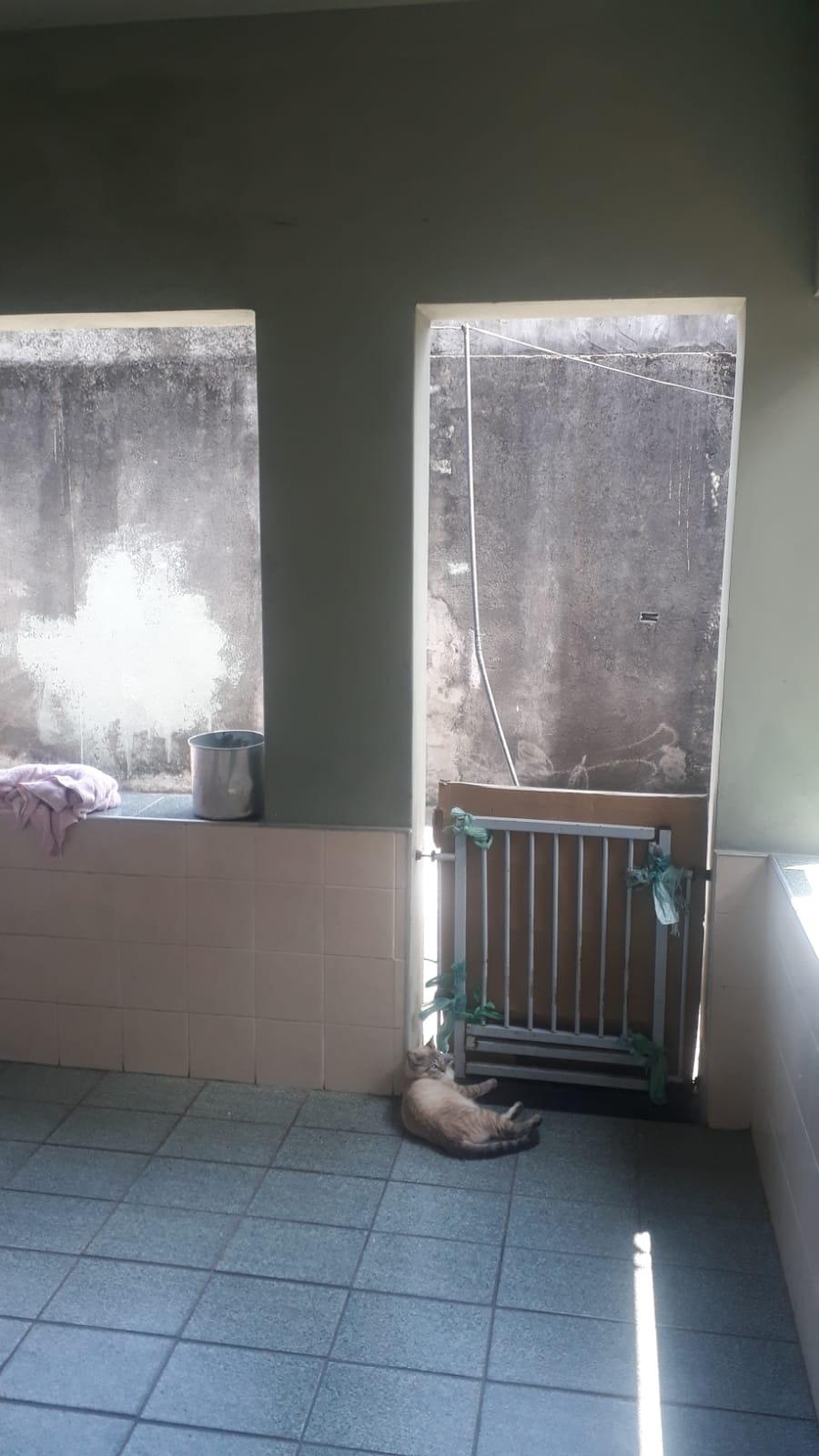 Casa, 3 quartos - Foto 14