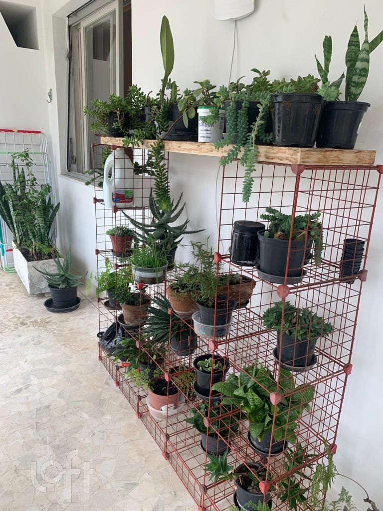 Apartamento, 5 quartos, 340 m² - Foto 2