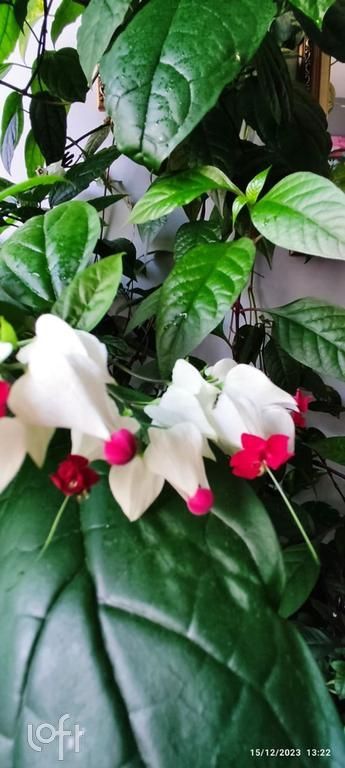 Apartamento, 2 quartos, 65 m² - Foto 37