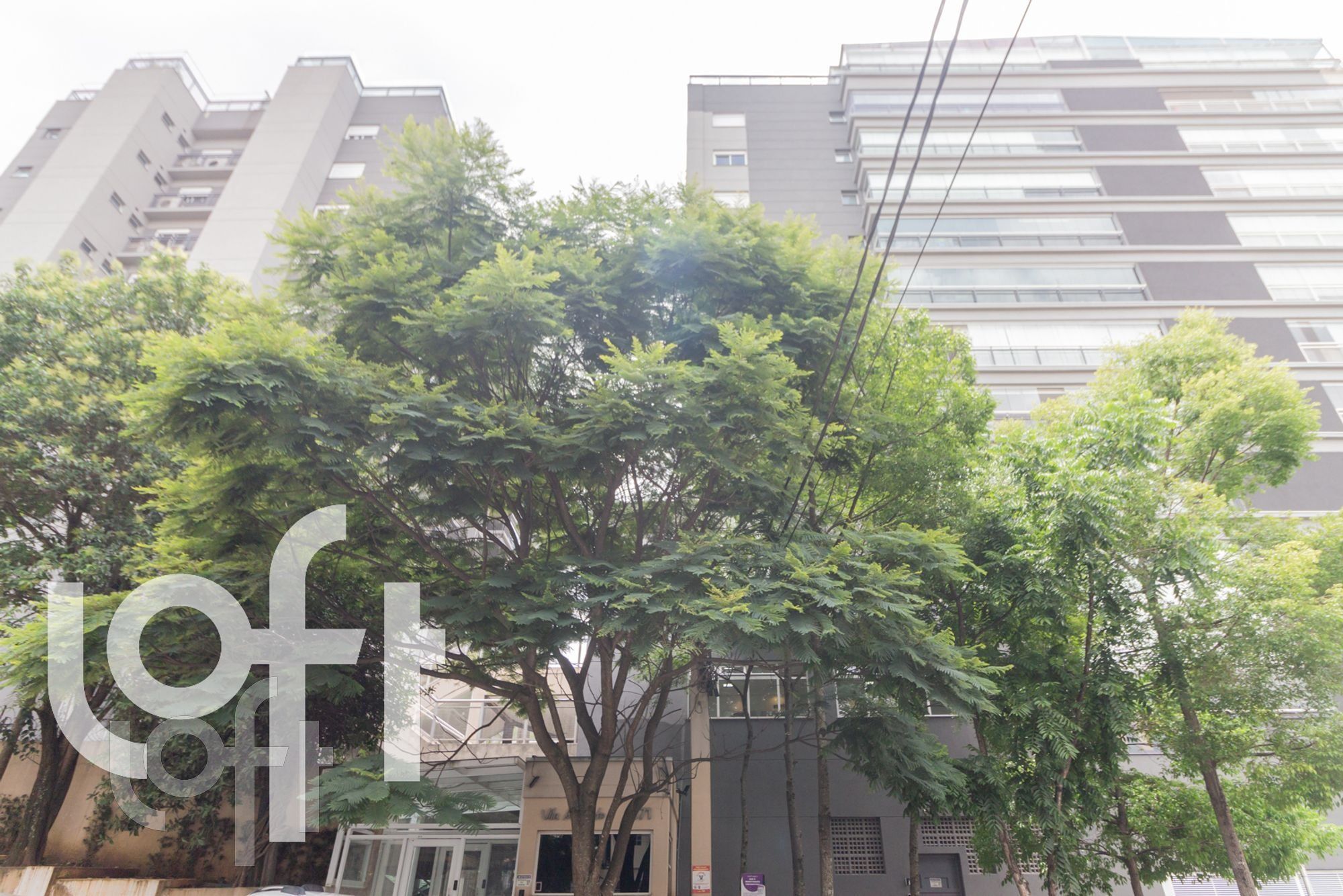 Apartamento, 3 quartos, 193 m² - Foto 33