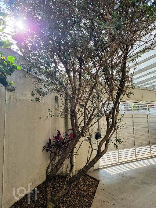 Casa, 3 quartos, 253 m² - Foto 19