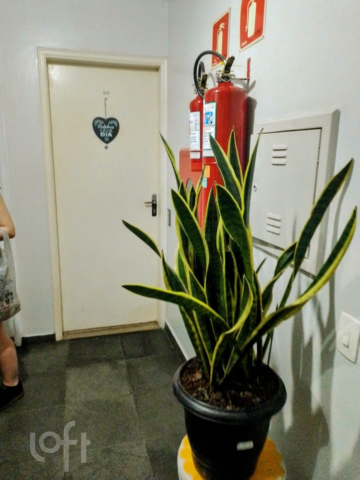 Apartamento à venda com 2 quartos, 75m² - Foto 10