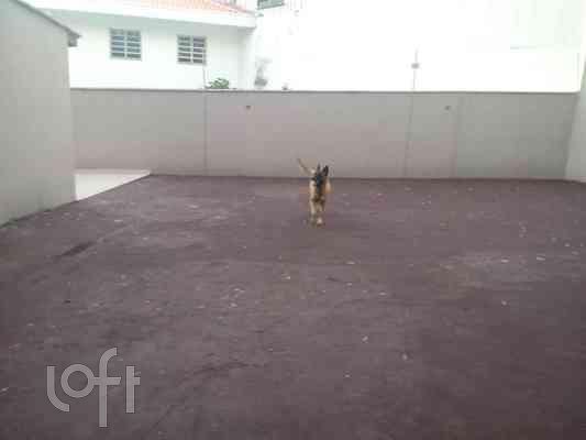 Casa, 4 quartos, 260 m² - Foto 38