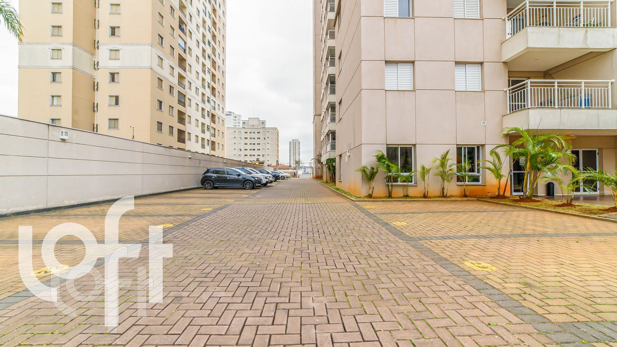 Apartamento, 3 quartos, 75 m² - Foto 30