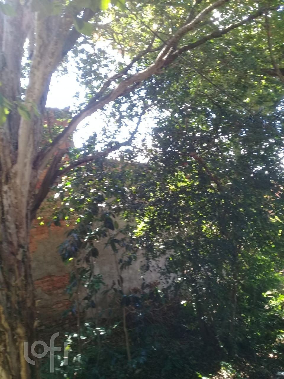 Casa, 1 quarto, 288 m² - Foto 17