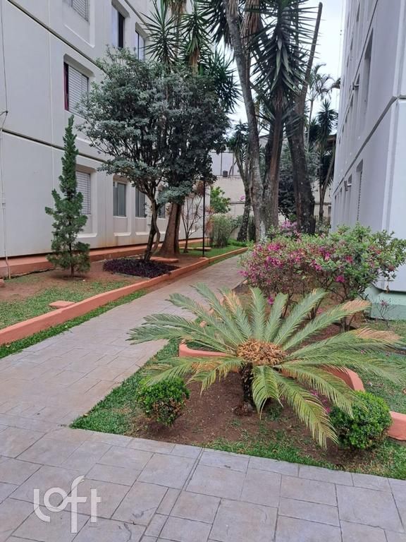 Apartamento, 3 quartos, 70 m² - Foto 17