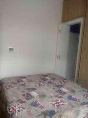 Casa, 4 quartos, 260 m² - Foto 16