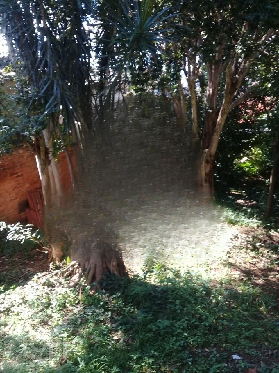 Casa, 1 quarto, 288 m² - Foto 15