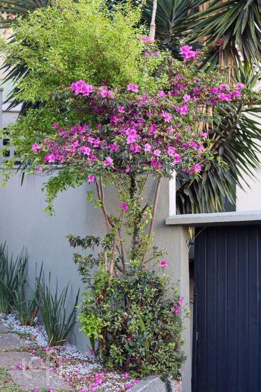 Casa, 4 quartos, 165 m² - Foto 18