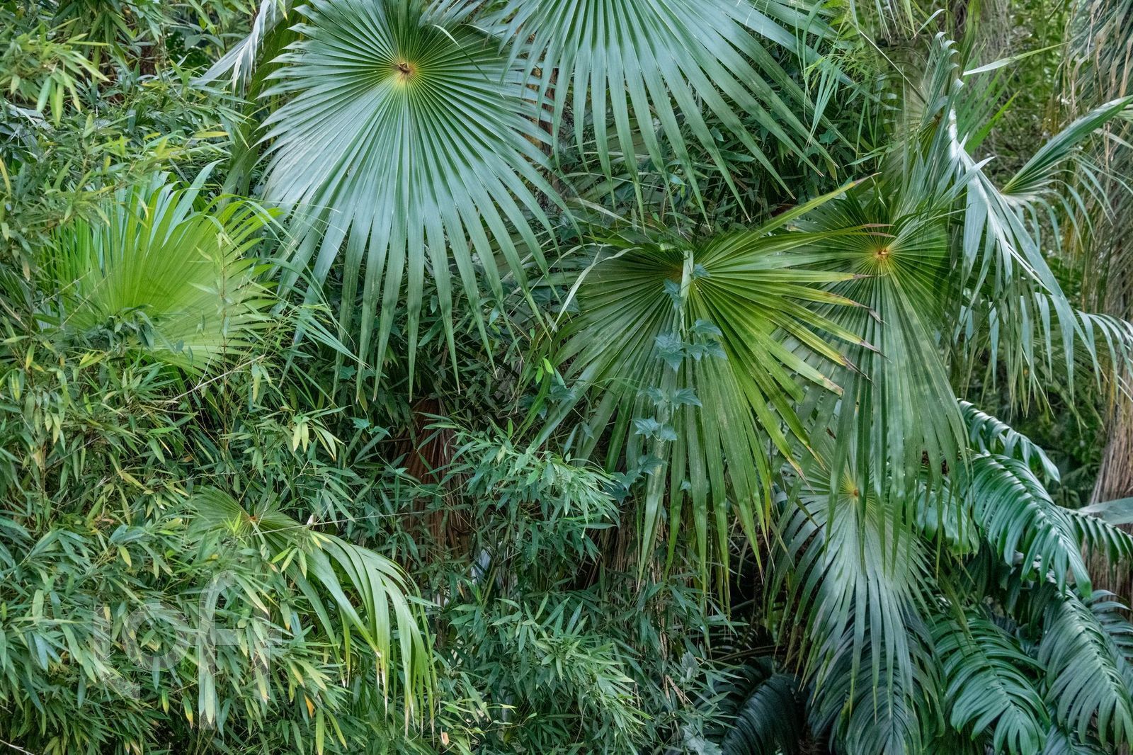 Casa de Condomínio, 5 quartos - Foto 22