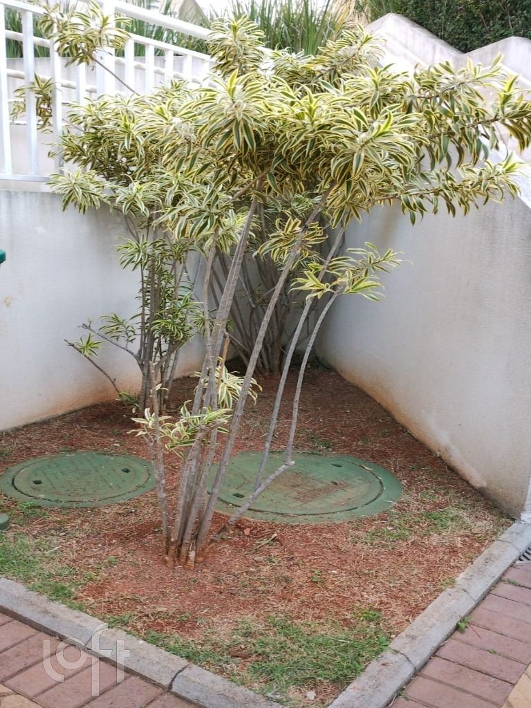 Apartamento à venda com 2 quartos, 40m² - Foto 43
