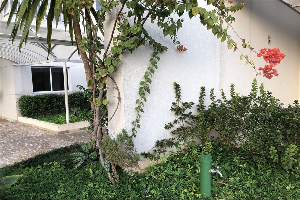 Apartamento, 3 quartos, 63 m² - Foto 2