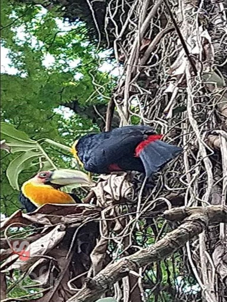 Casa, 1 quarto, 120 m² - Foto 18