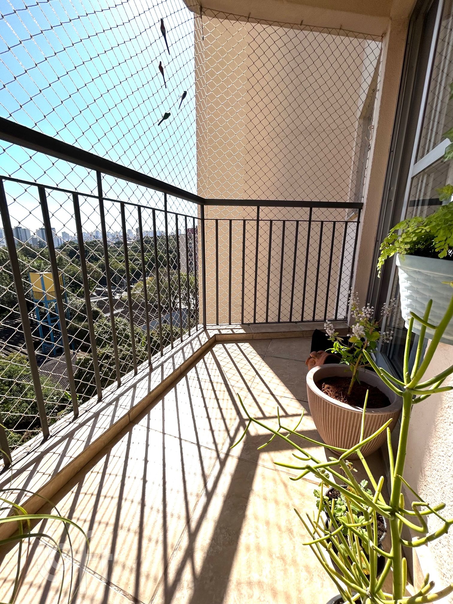 Apartamento à venda com 3 quartos, 75m² - Foto 4