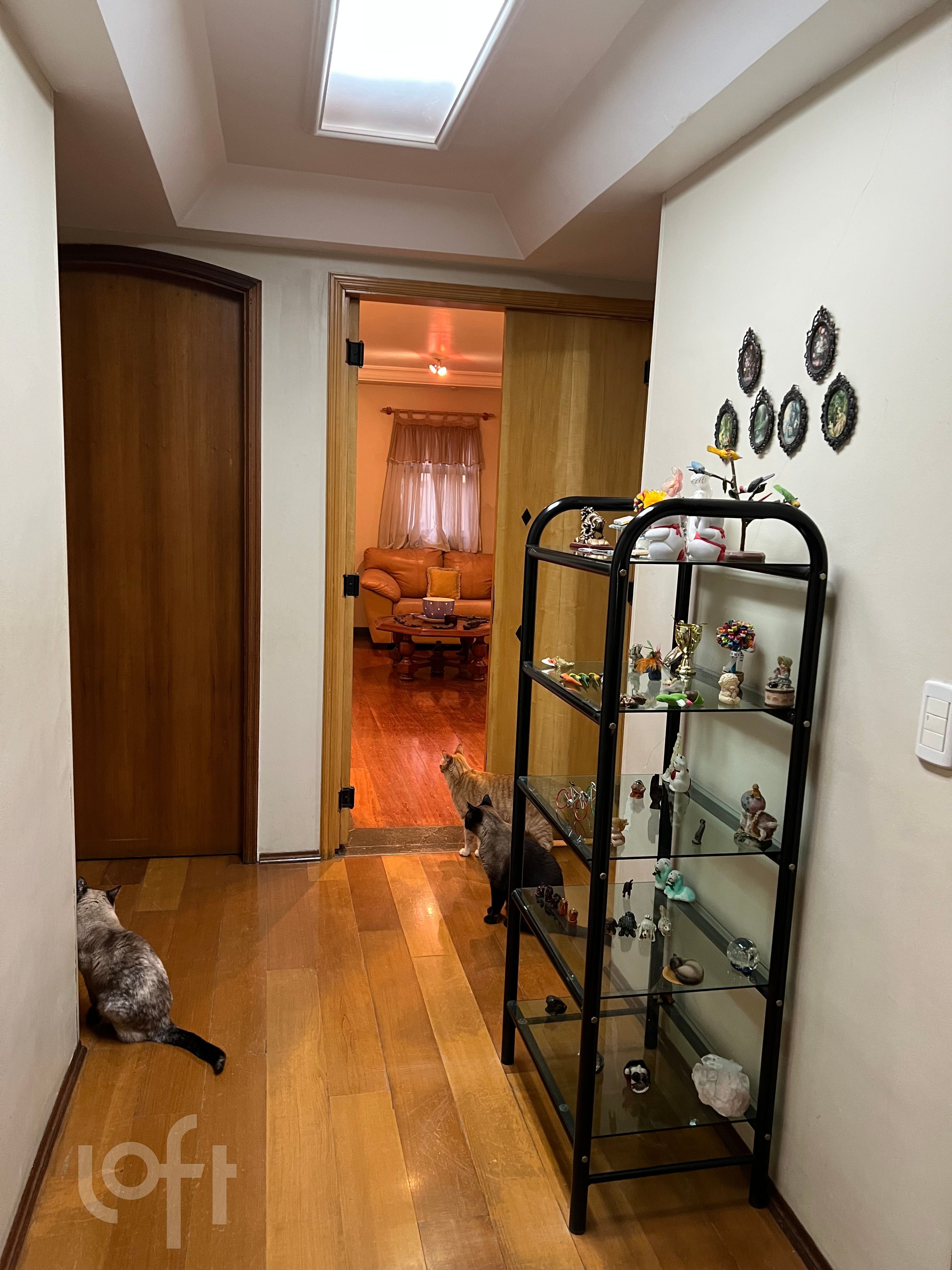 Apartamento à venda com 3 quartos, 135m² - Foto 11