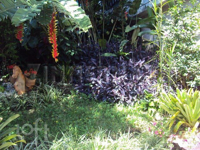 Casa, 3 quartos, 276 m² - Foto 4