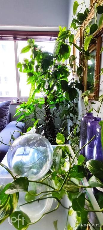 Apartamento, 2 quartos, 65 m² - Foto 35